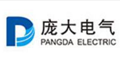龐大電氣（qì）